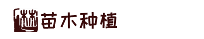 皇冠现金网官网注册
